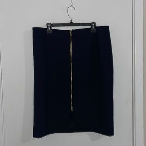 Ann Taylor Pencil Skirt